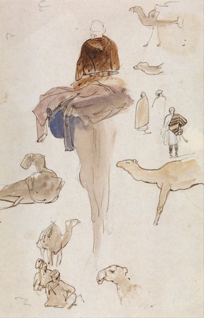 Studies of Camels by Edward Lear